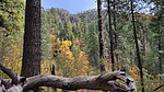photo thumbnail #7