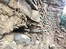 photo thumbnail #14