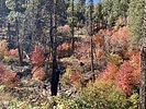 photo thumbnail #8