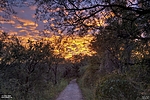 photo thumbnail #1