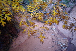 photo thumbnail #15