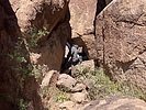 photo thumbnail #5