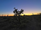 photo thumbnail #2