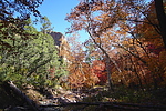photo thumbnail #13