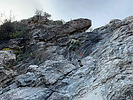 photo thumbnail #5