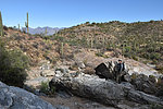 photo thumbnail #6