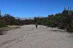 photo thumbnail #11