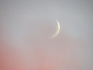 photo thumbnail #14