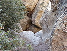 photo thumbnail #5