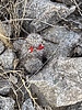 photo thumbnail #13