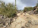 photo thumbnail #15