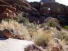 photo thumbnail #12