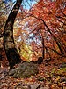 photo thumbnail #8