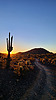 photo thumbnail #4