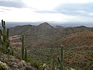 photo thumbnail #12