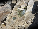 photo thumbnail #15