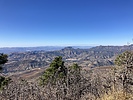 photo thumbnail #4