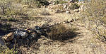 photo thumbnail #9