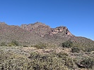 photo thumbnail #3