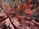 photo thumbnail #12
