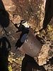 photo thumbnail #14