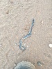 photo thumbnail #15