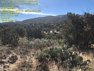 photo thumbnail #14