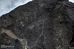 photo thumbnail #13