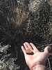 photo thumbnail #15