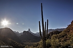 photo thumbnail #5