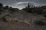 photo thumbnail #1