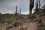 photo thumbnail #10