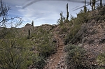 photo thumbnail #13