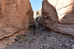 photo thumbnail #15