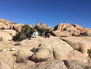 photo thumbnail #6