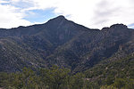 photo thumbnail #14