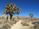 photo thumbnail #6