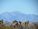 photo thumbnail #7