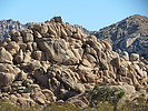 photo thumbnail #10
