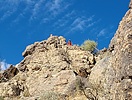photo thumbnail #5