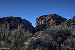 photo thumbnail #9