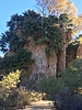 Featured Detail Photo
