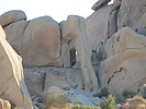 photo thumbnail #2