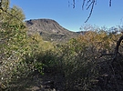 photo thumbnail #13