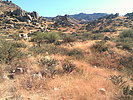photo thumbnail #3