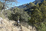 photo thumbnail #1
