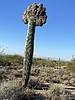 photo thumbnail #2