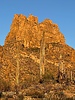 photo thumbnail #3
