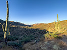 photo thumbnail #6