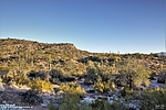 photo thumbnail #3
